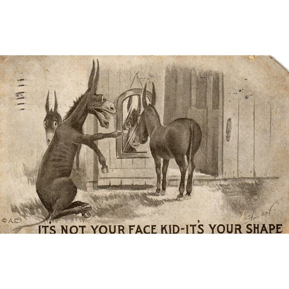 Postcard It's Not Your Face Kid It's Your Shape Donkey Series Humor Cartoon - Picture 1 of 2